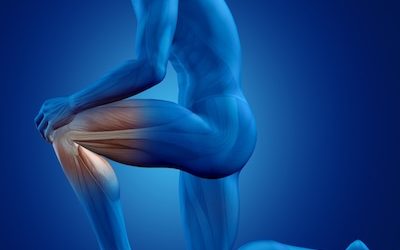 Renehavis® – moderne Hyalurontherapie bei Gelenkbeschwerden