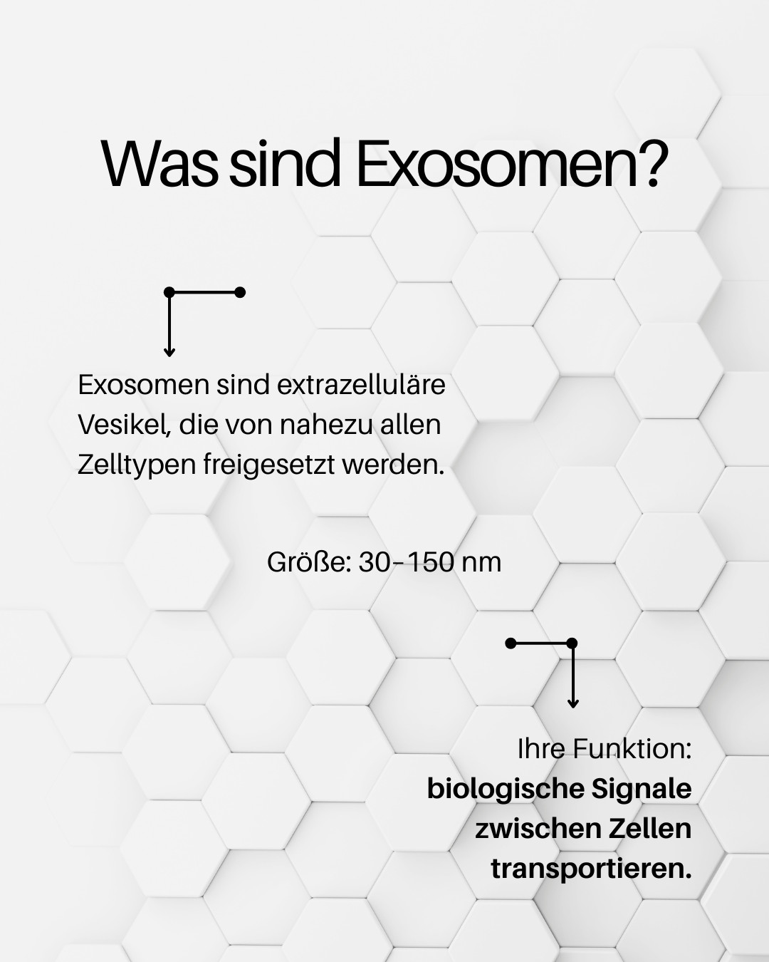 Was sind Exosomen?